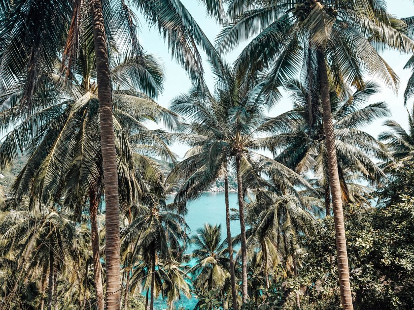 koh-tao-thailand